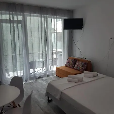 Apartament Tudor Studio Mamaia Nord